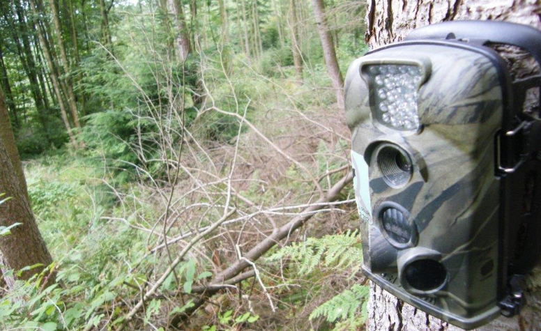 камера ночного видения для охоты, инфракрасная камера для охоты, фотокамера для охоты с датчиком движения